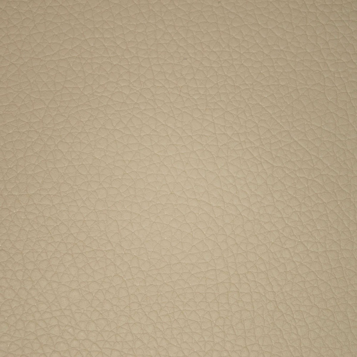 31802 CREAM (PATTON)