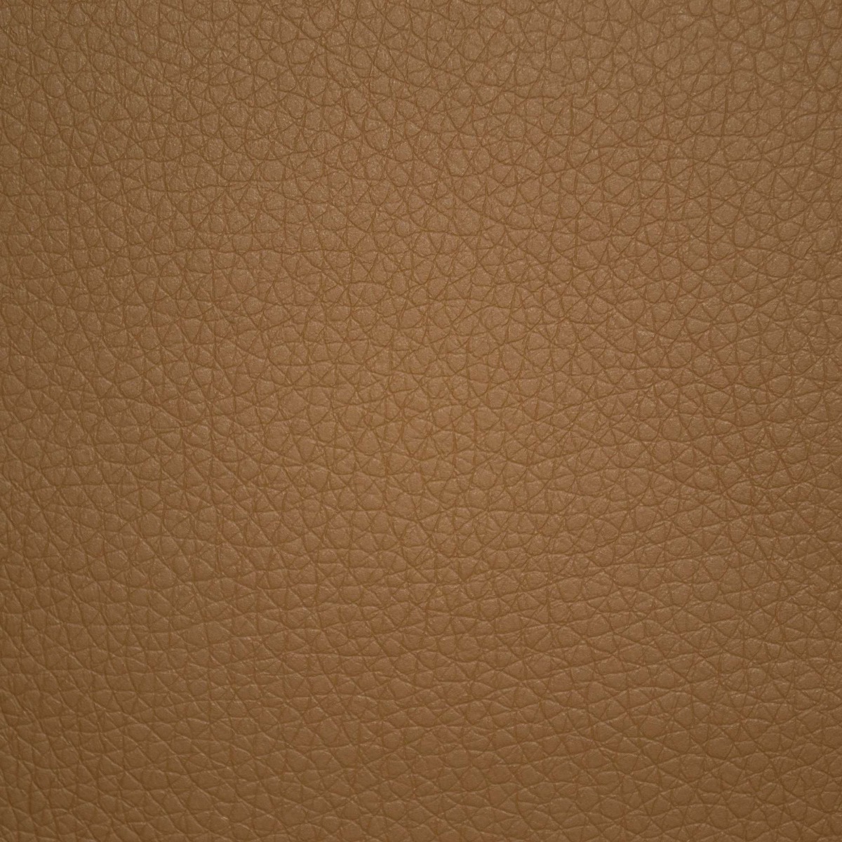 31812 SIENNA (PECOS)