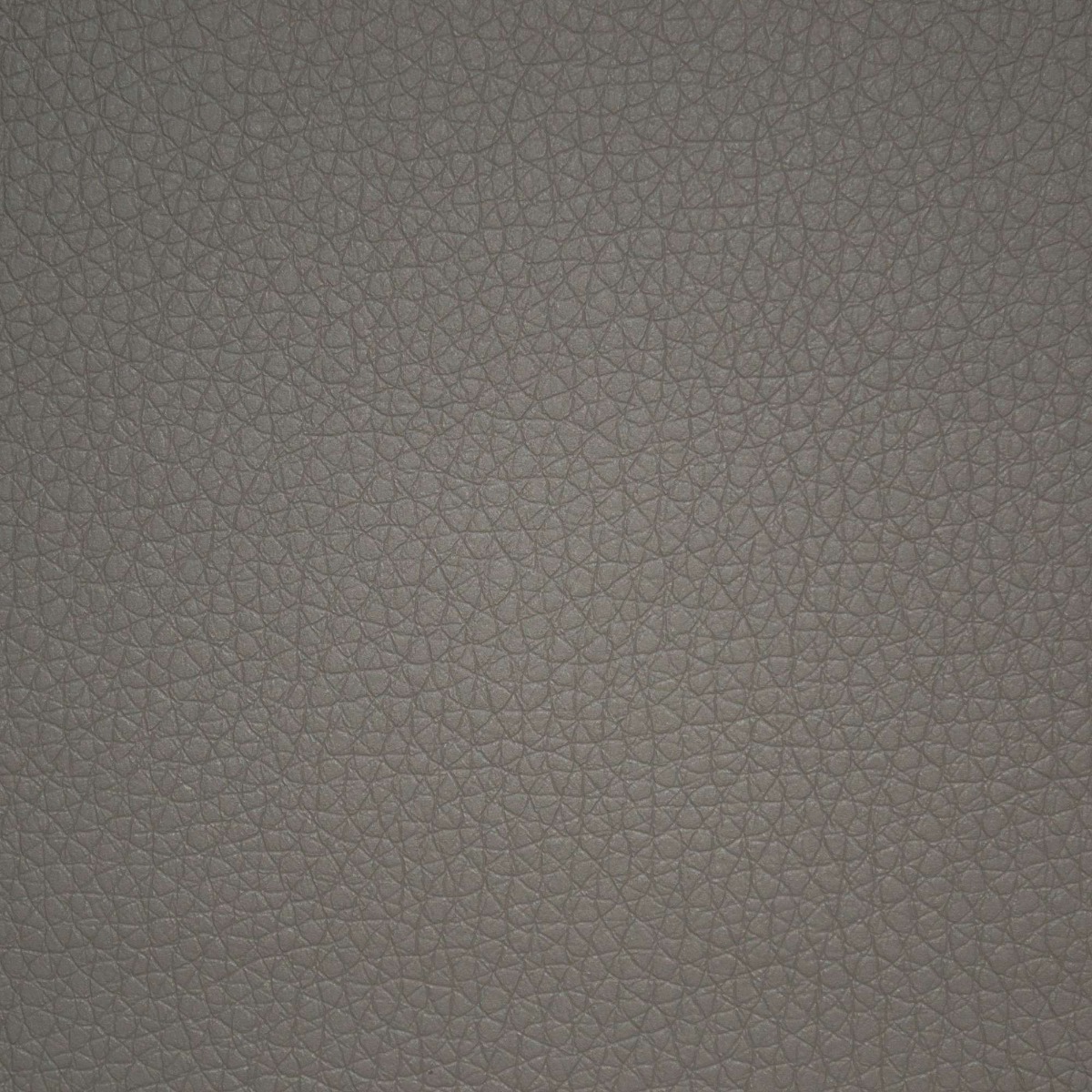 31814 GREY (PECOS)