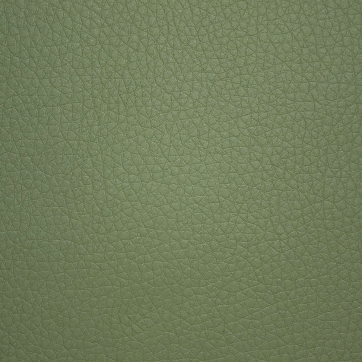 31816 OLIVE (PECOS)