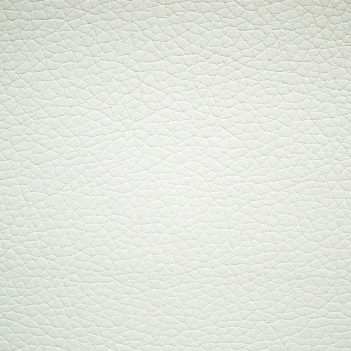 31818 WHITE (PECOS)