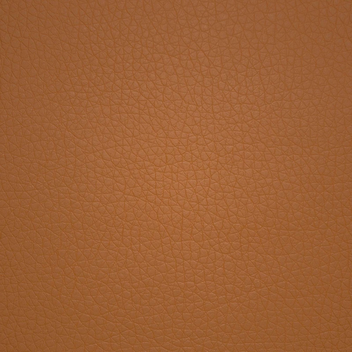 31821 BURNT ORANGE (PECOS)