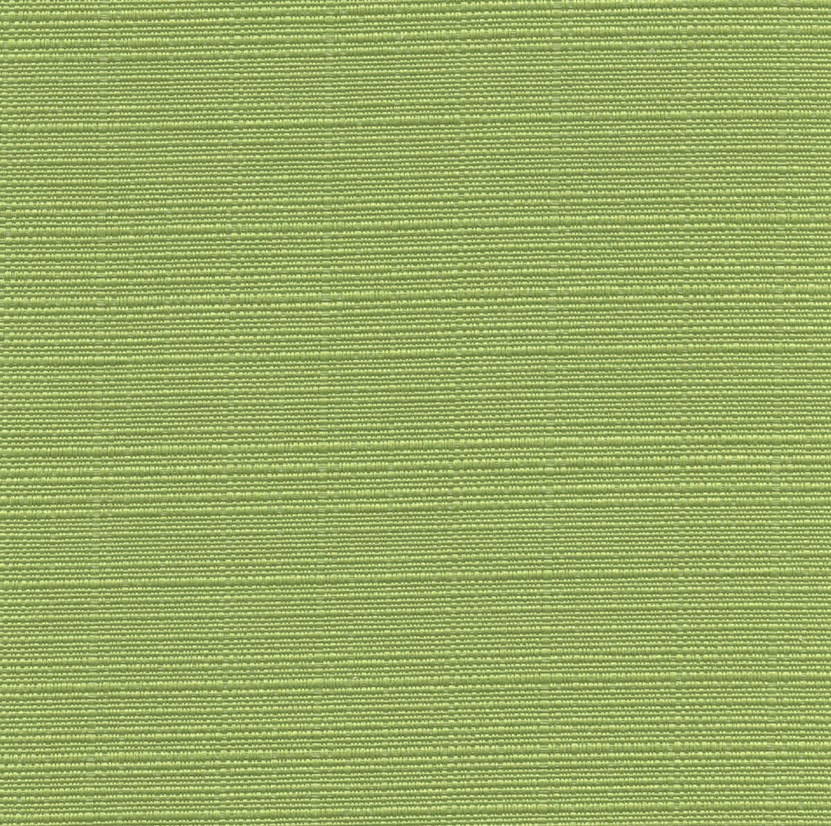 32143 CELADON (PLACID)