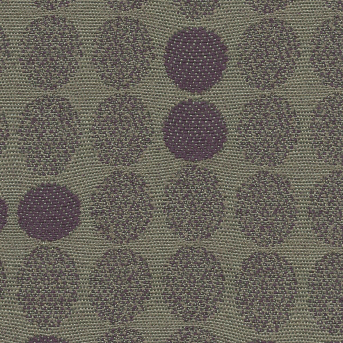 3535 NAPA (ECLIPSE)