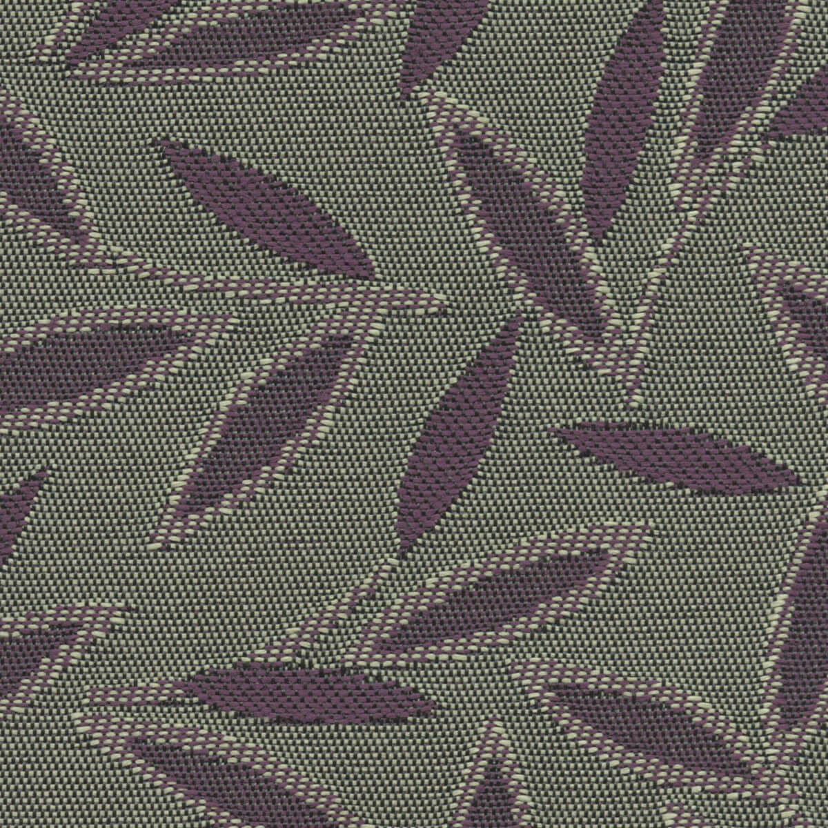 3559 NAPA (JASMINE)
