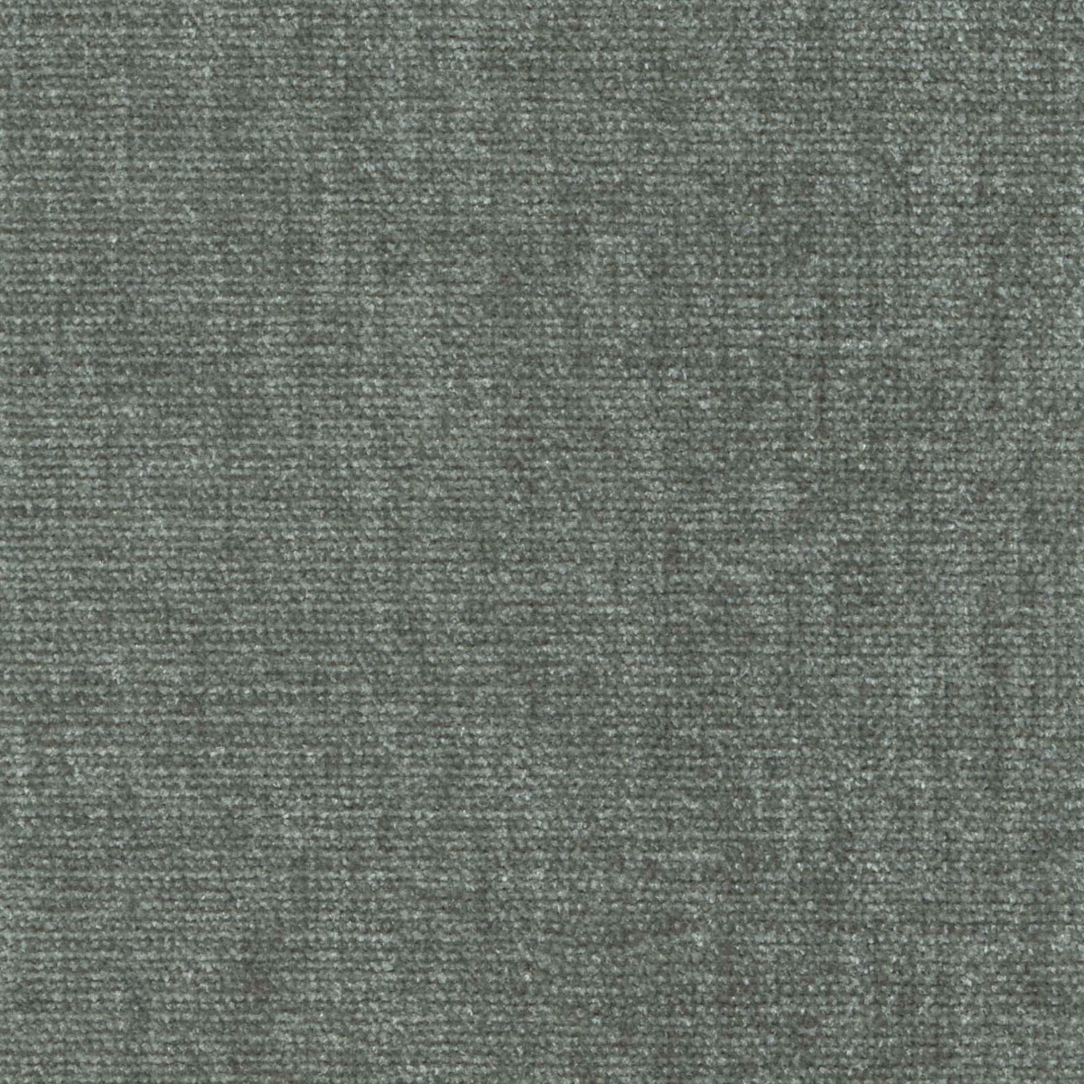 42060 MICA (CHARISMA)