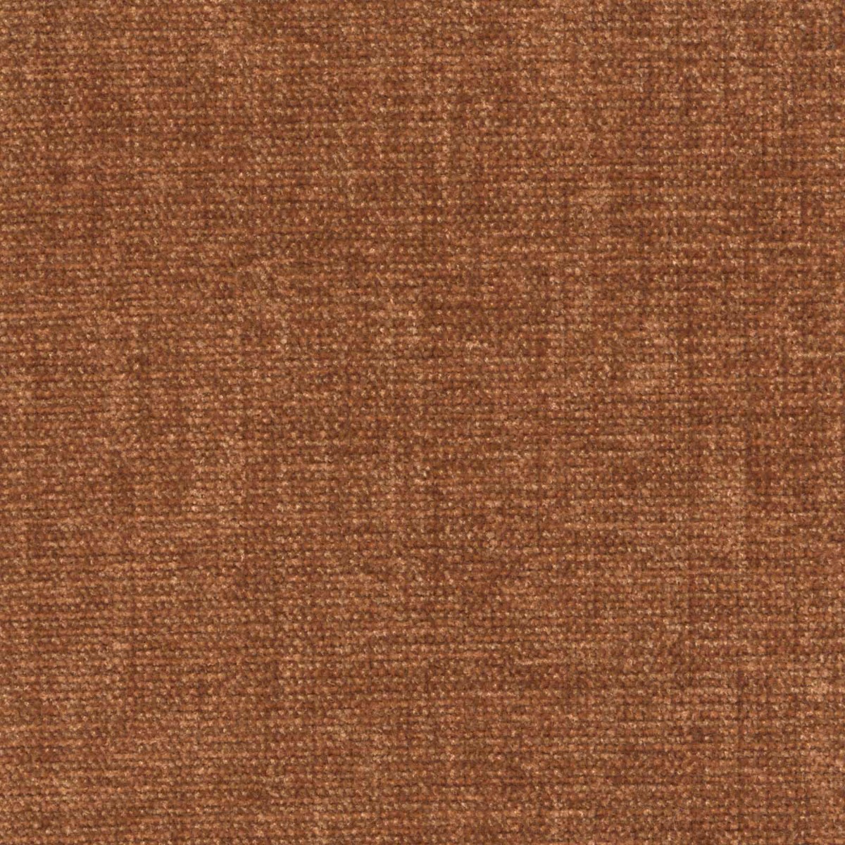 42008 BRONZE (CHARISMA/CRYPTON INCASE)