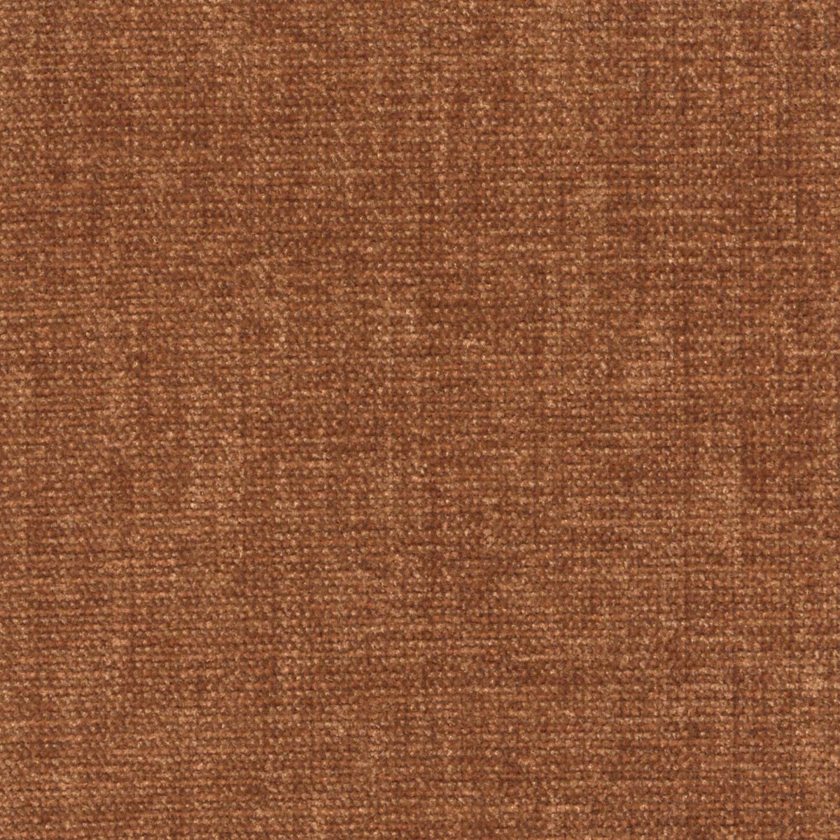42058 BRONZE (CHARISMA)
