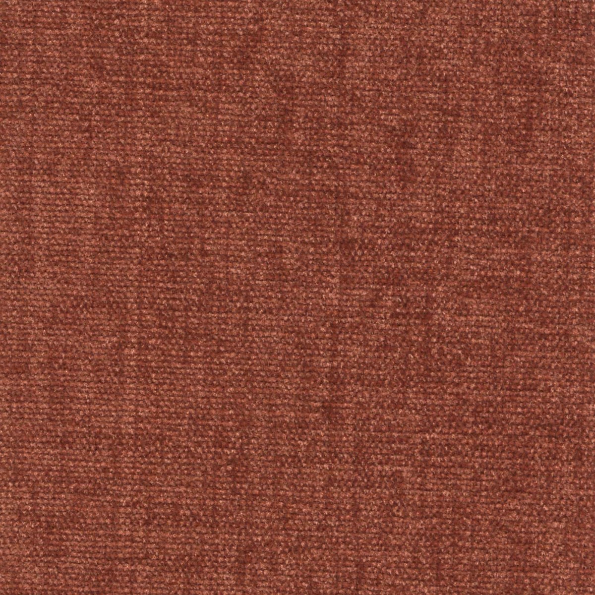 42017 CORAL (CHARISMA/CRYPTON INCASE)