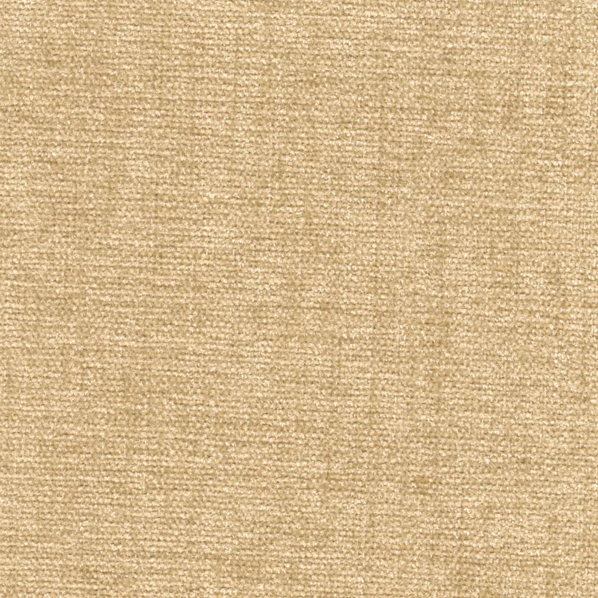 42074 TWEED (CHARISMA)