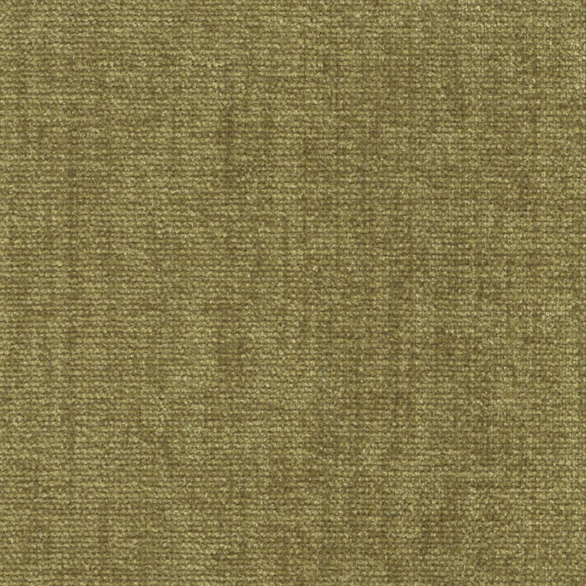 42026 WILLOW (CHARISMA/CRYPTON INCASE)