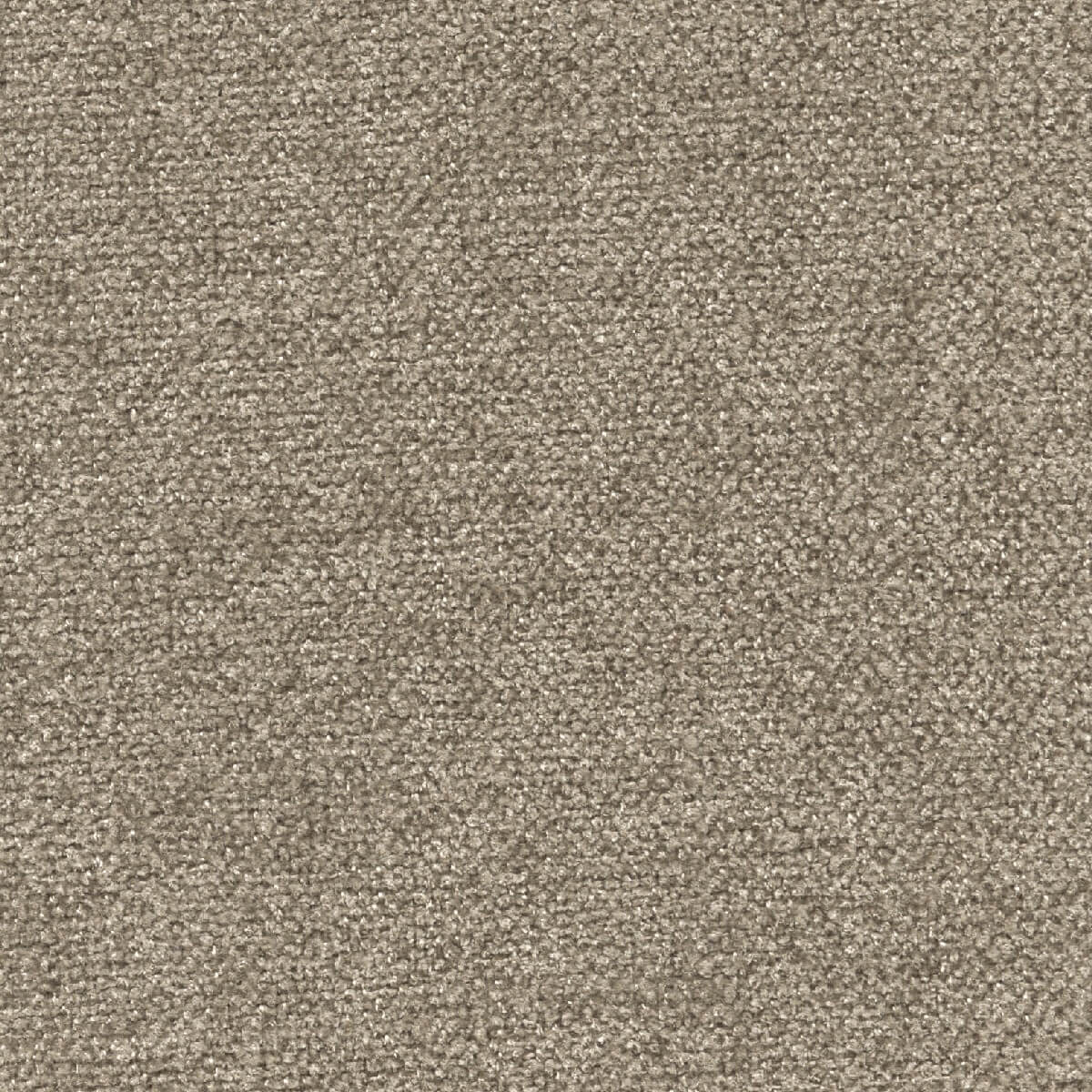 42351 FLAX (MYSTICAL)