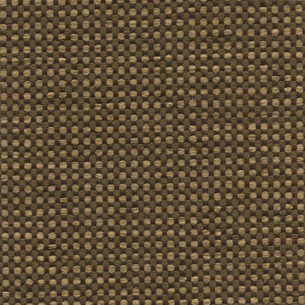 45008 MOCHA (LUXWEAVE)