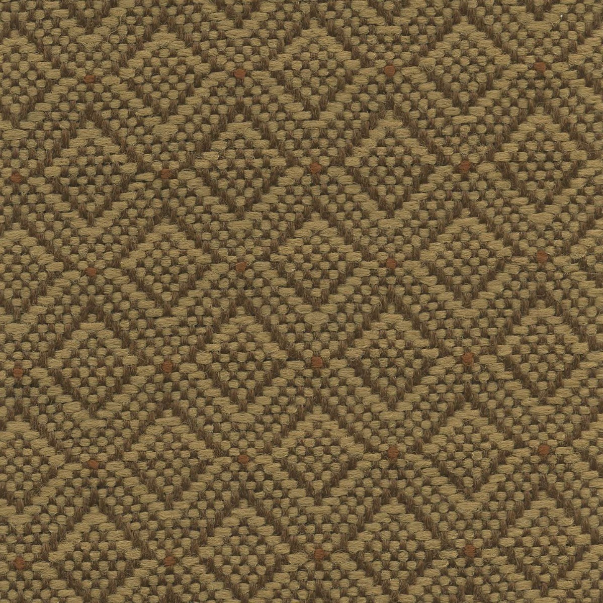45009 MOCHA (CHEYENNE)
