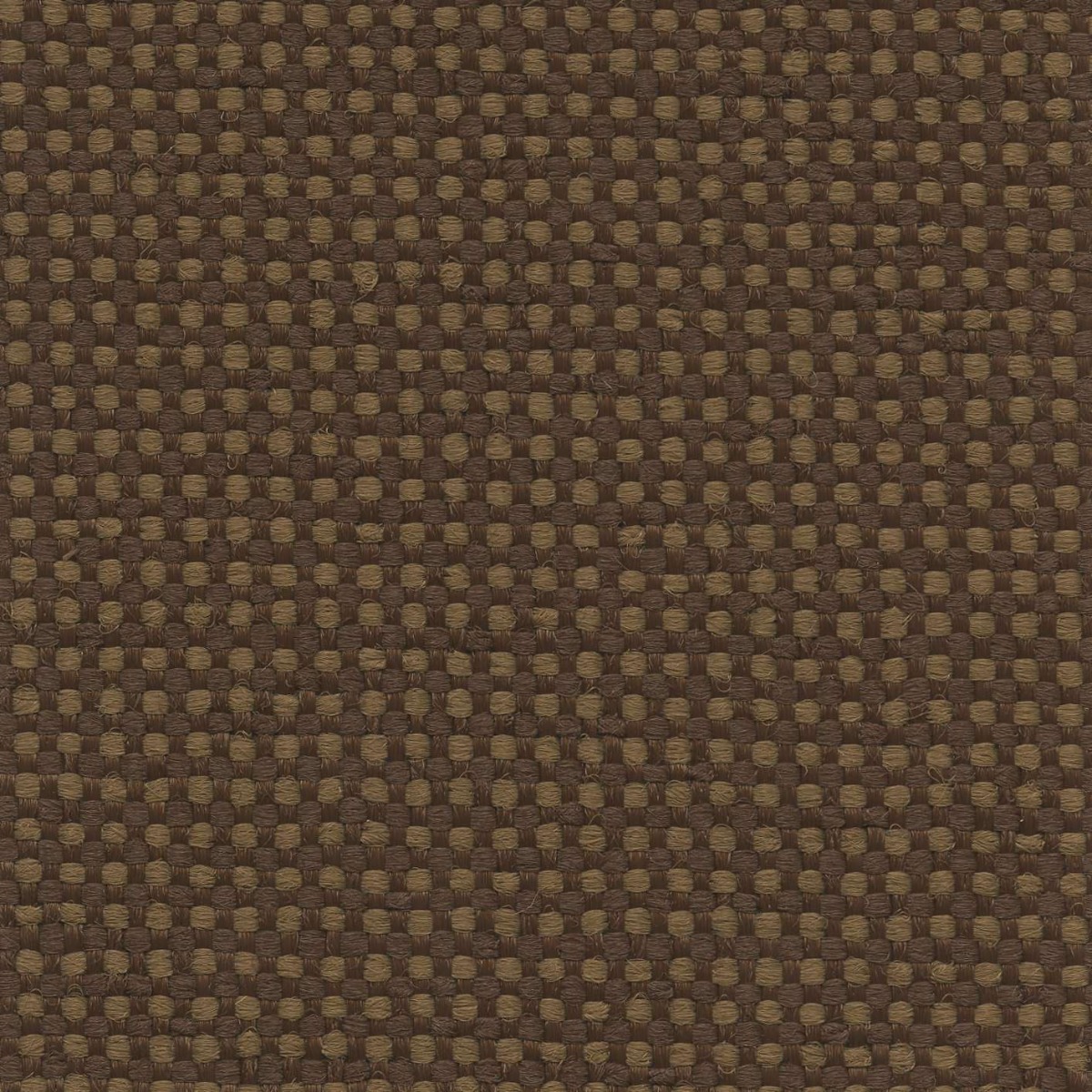 45010 CHOCOLATE (LUXWEAVE)