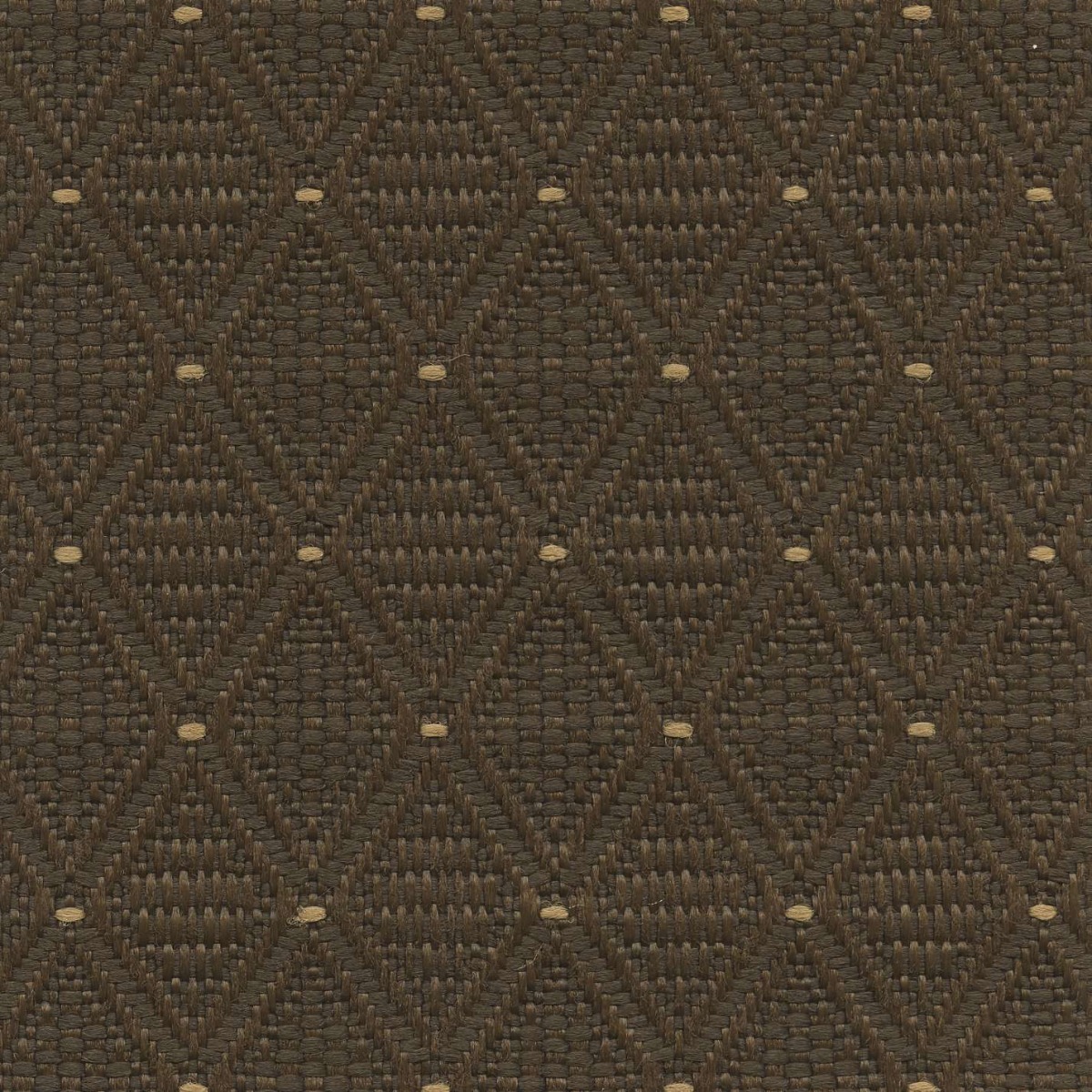 45011 COCOA (JACKSON)