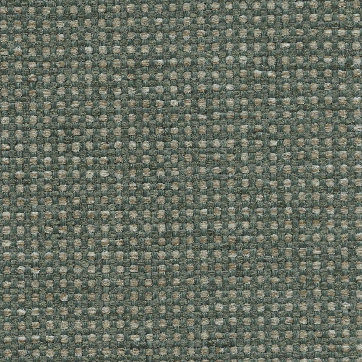 45026 CACTUS (LUXWEAVE)