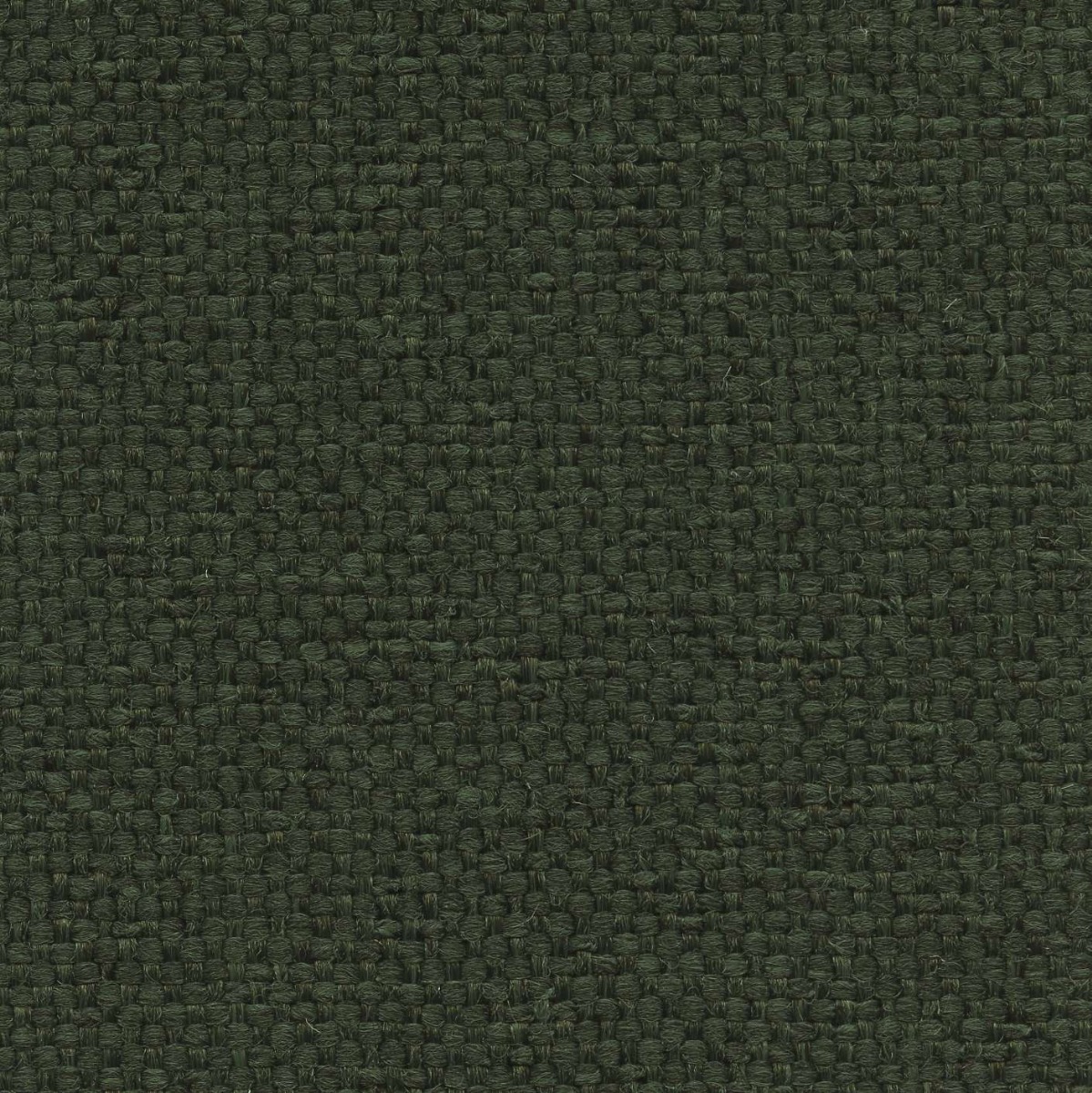 45031 ROSEMARY (LUXWEAVE)