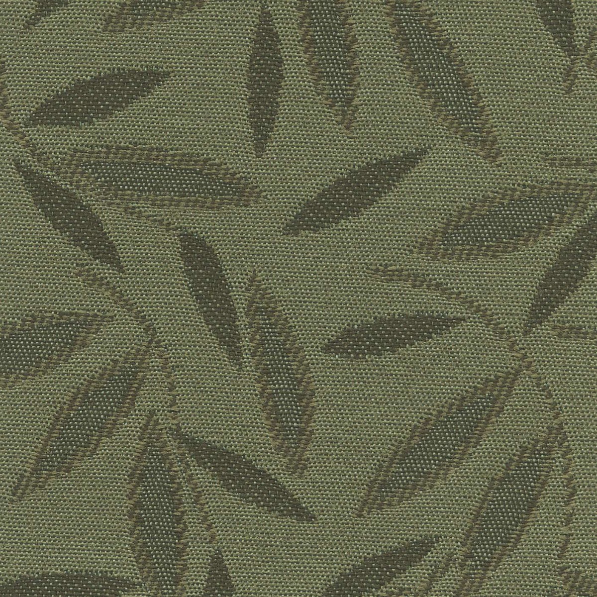 45110 FERN (JASMINE) 
