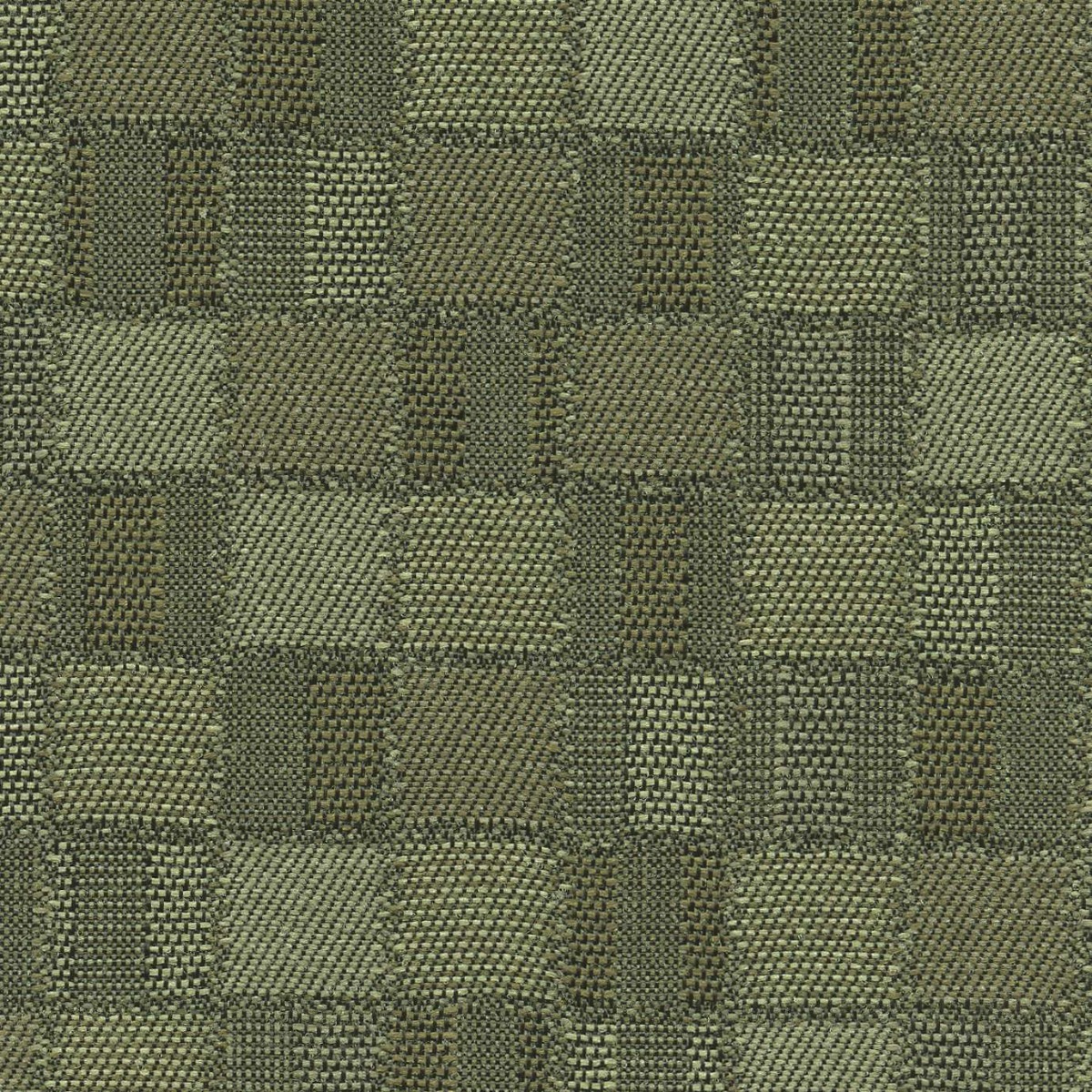 45111 FERN (EMPIRE) 