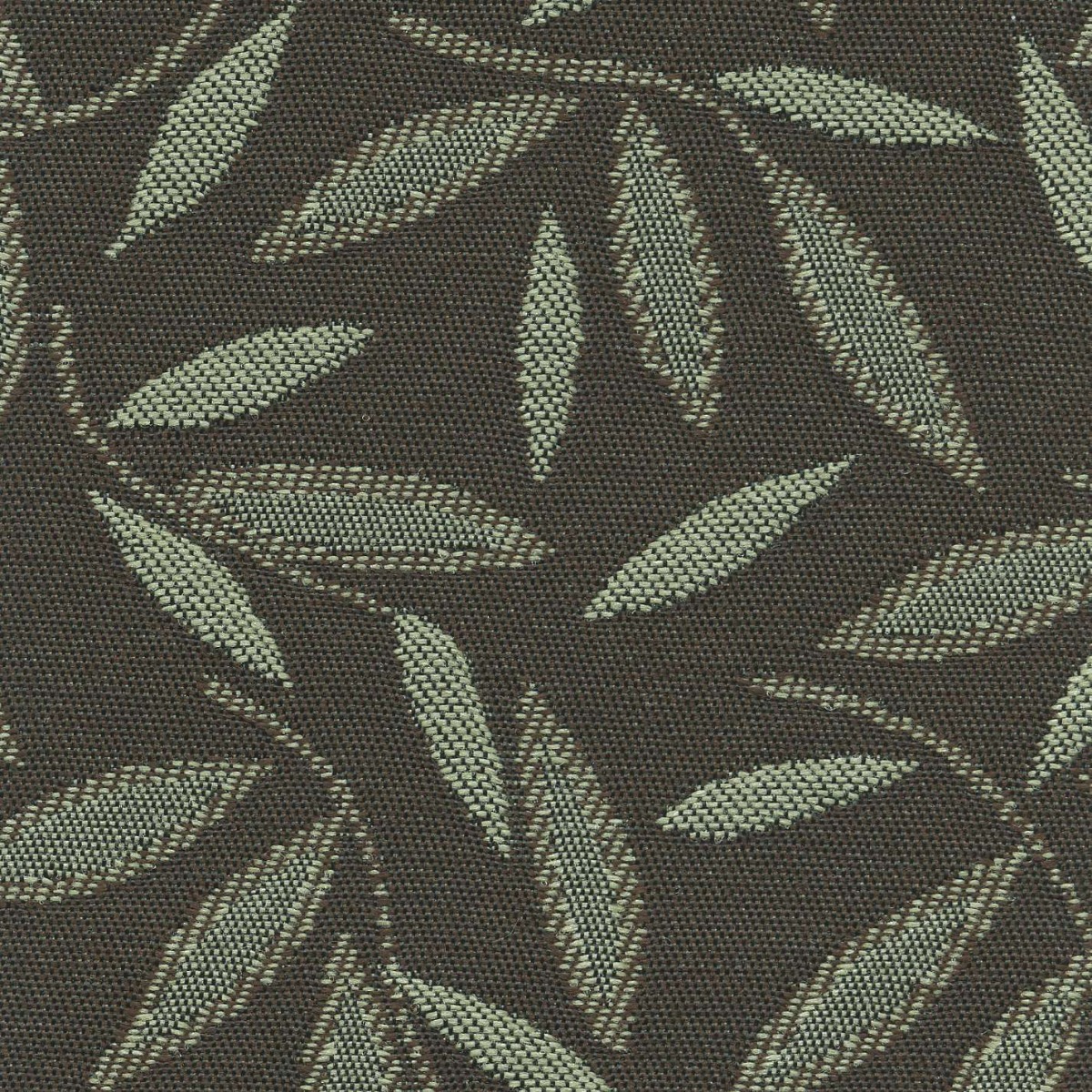 45113 WINTERMOSS (JASMINE) 