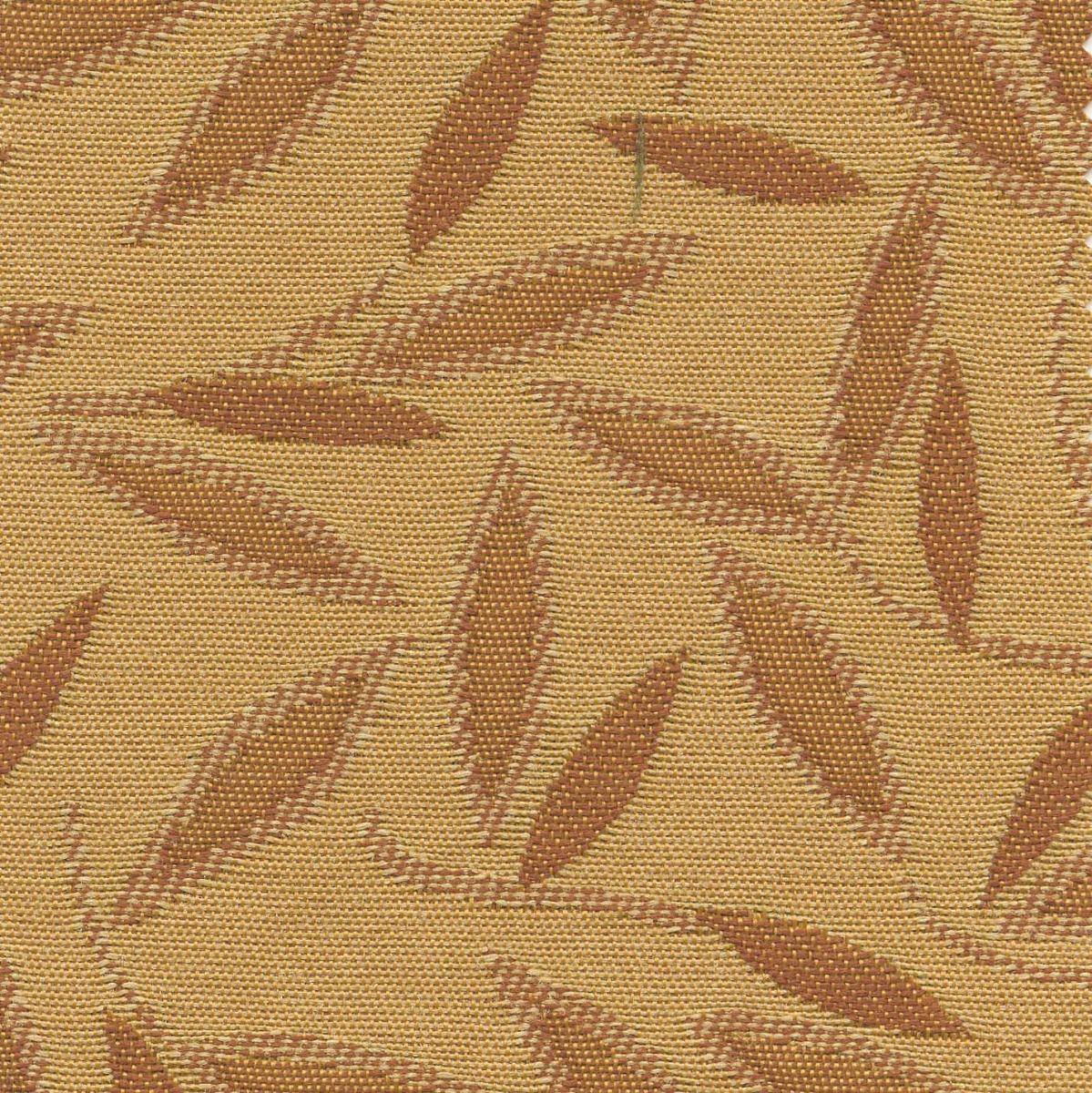 45116 MOJAVE GOLD (JASMINE) 