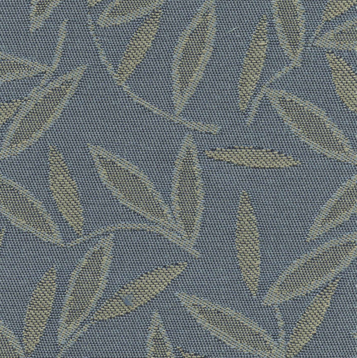 45137 SKY (JASMINE) 