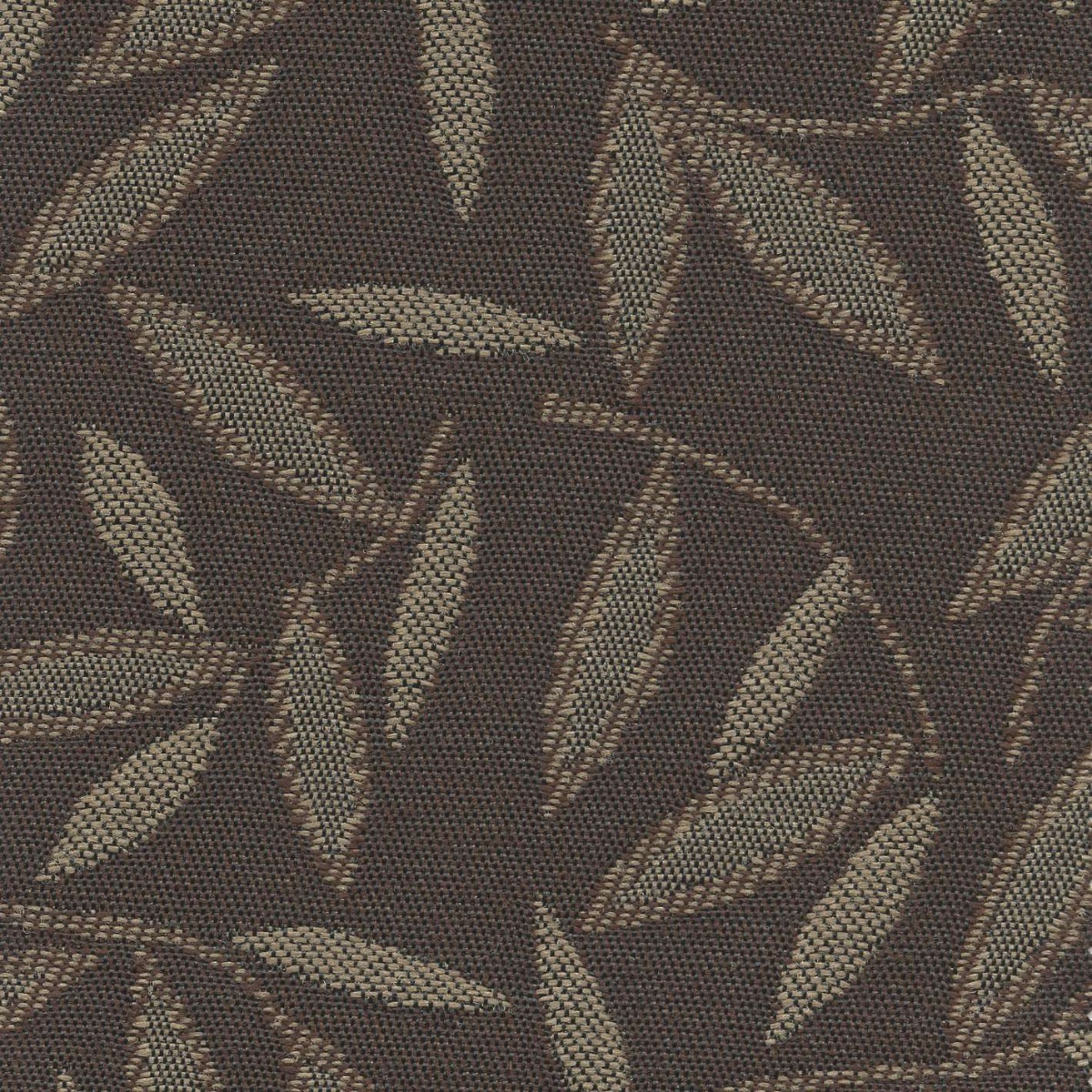45159 CHOCOLATE (JASMINE) 