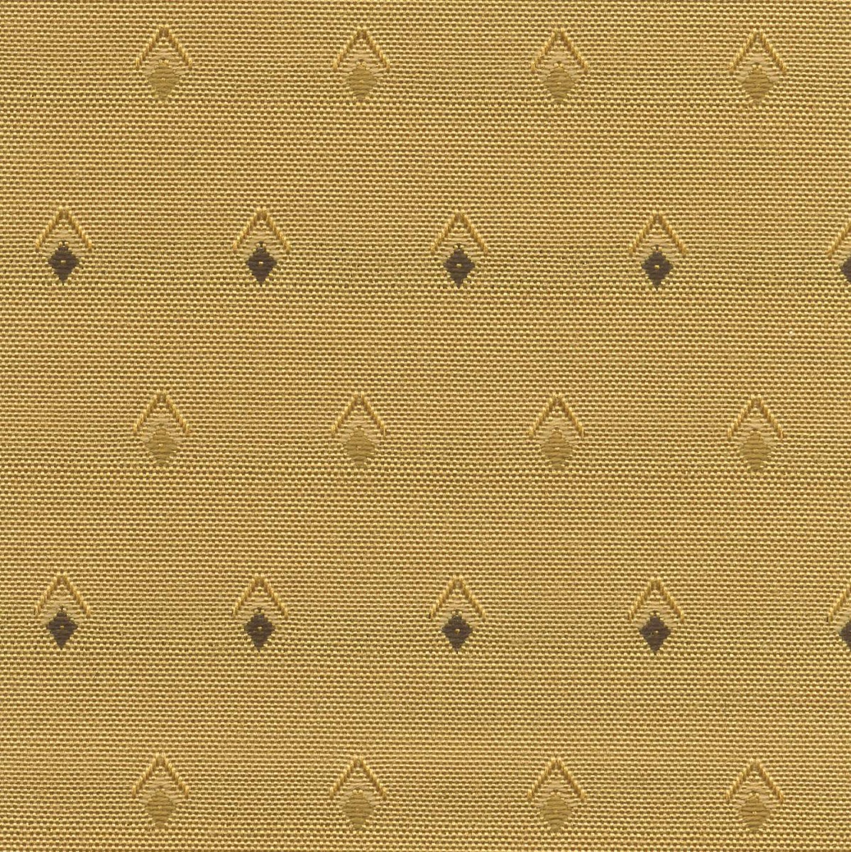 45205 GOLDEN (VALOR)