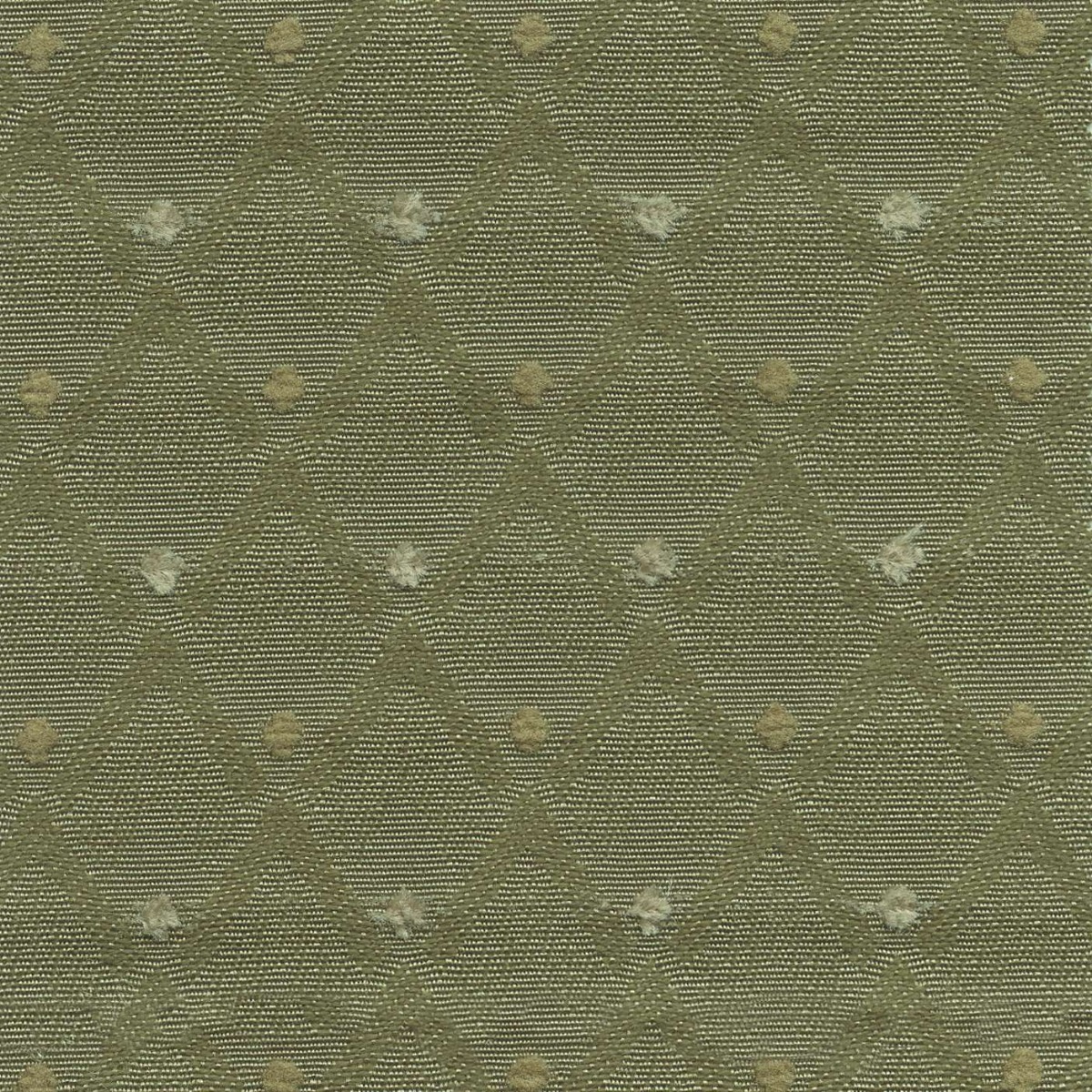 45210 COCONUT (BARETTA)