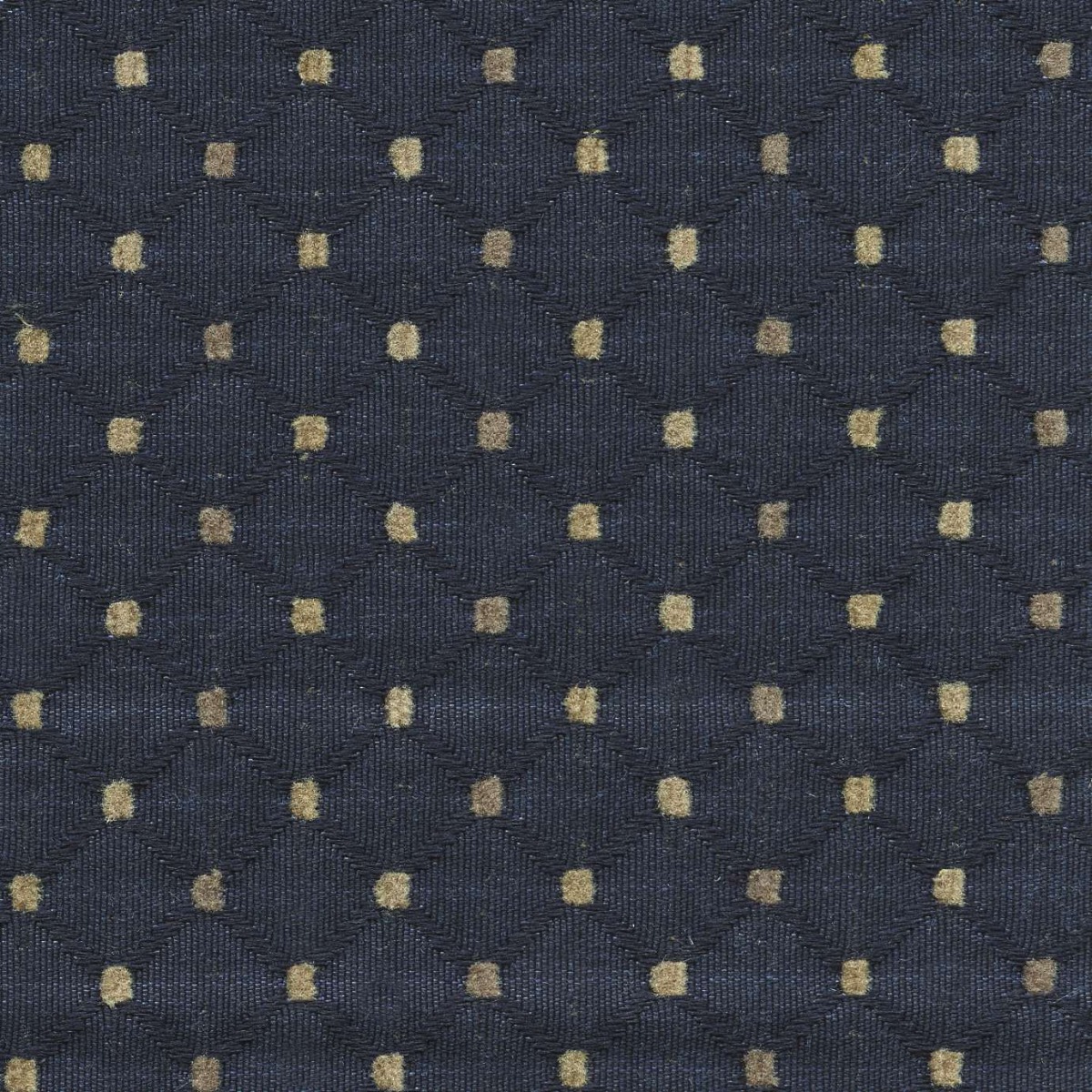 45219 NAVY (CHEERS)