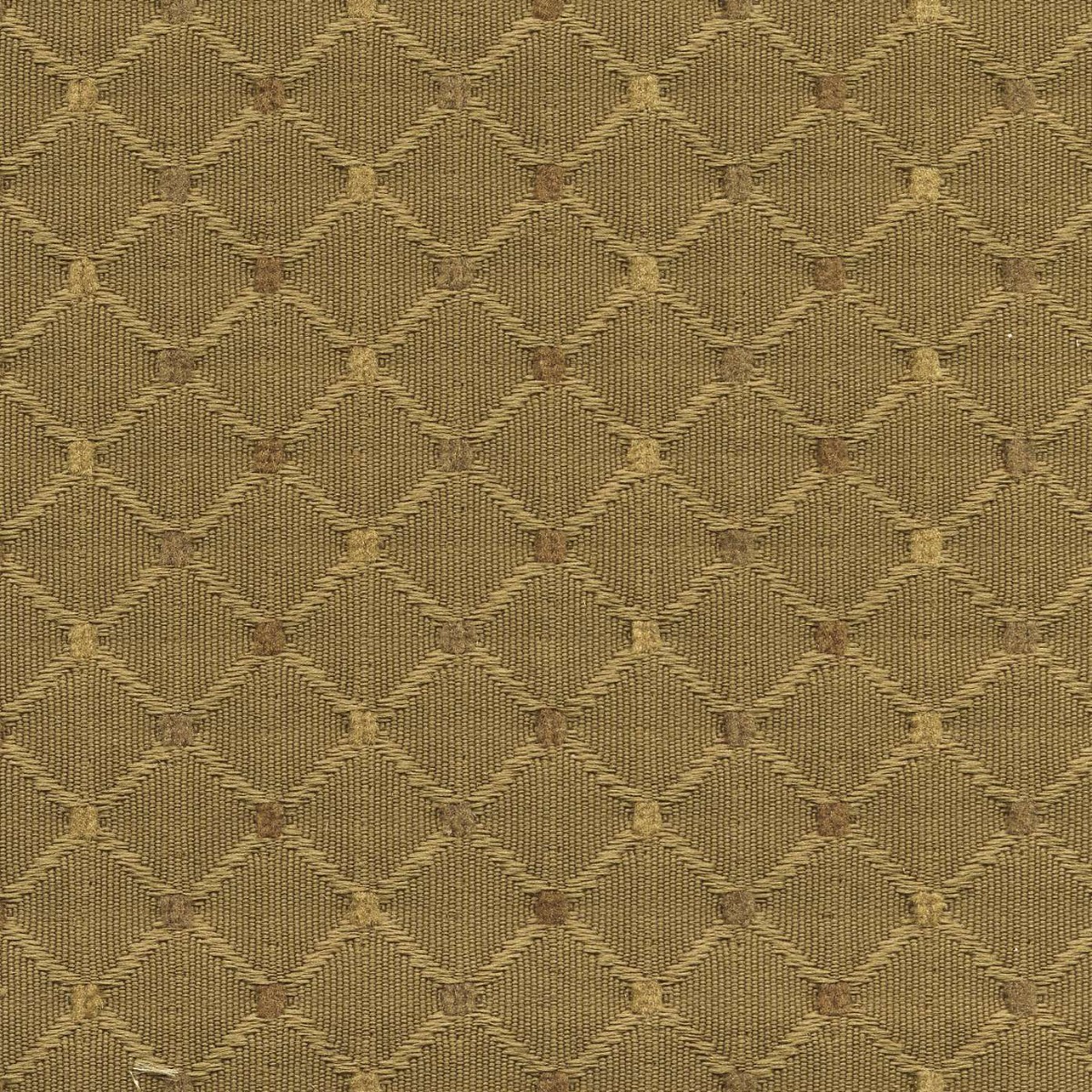 45234 OLIVE (CHEERS )