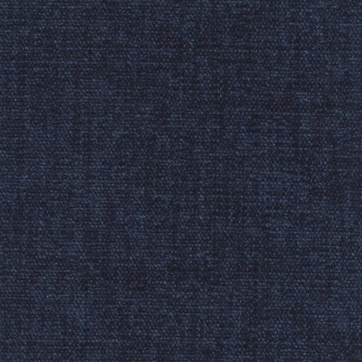 42018 INDIGO (CHARISMA/CRYPTON INCASE)