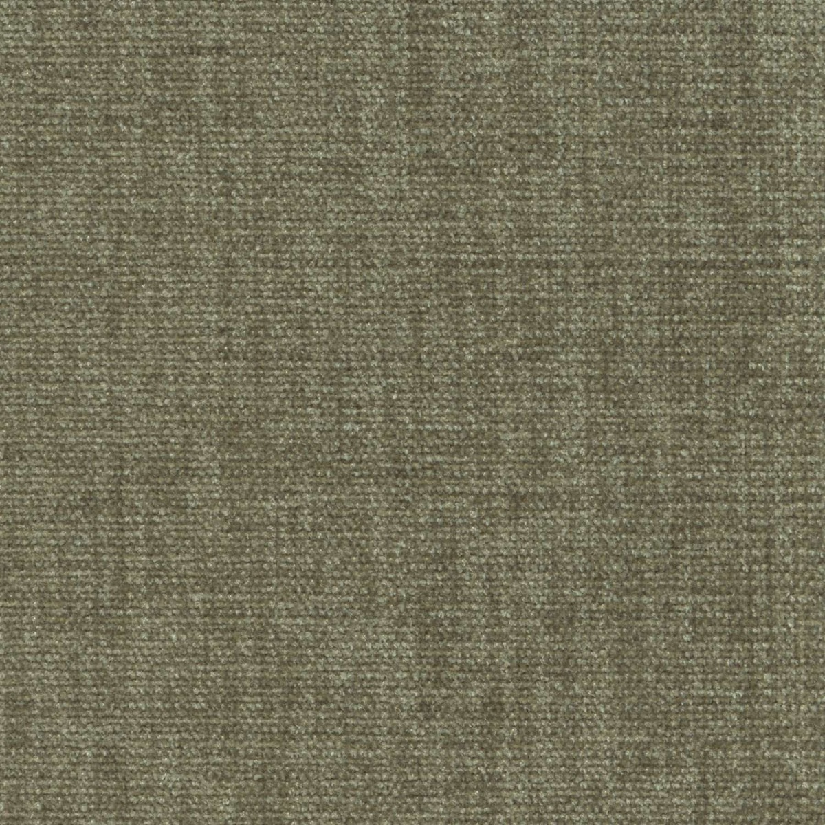 42052 SAGE (CHARISMA)