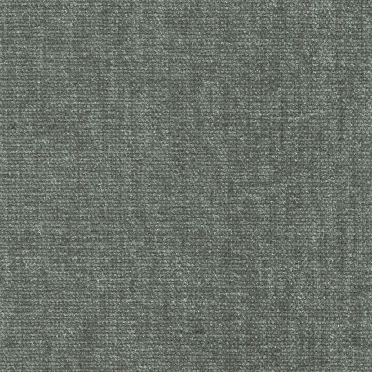 45407 MICA (CHARISMA)