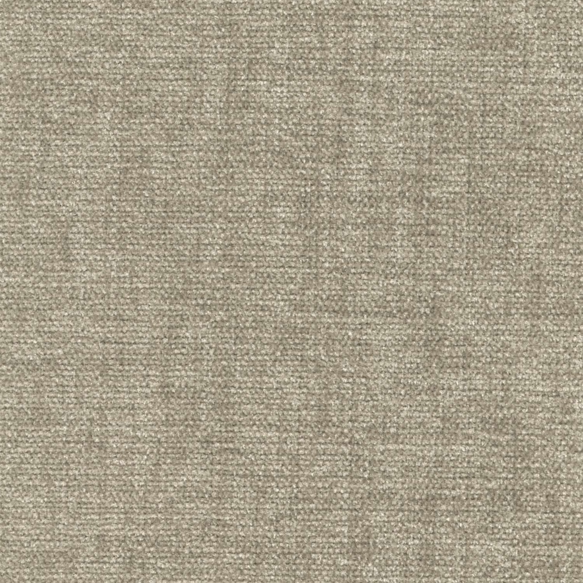 45408 ECRU (CHARISMA)