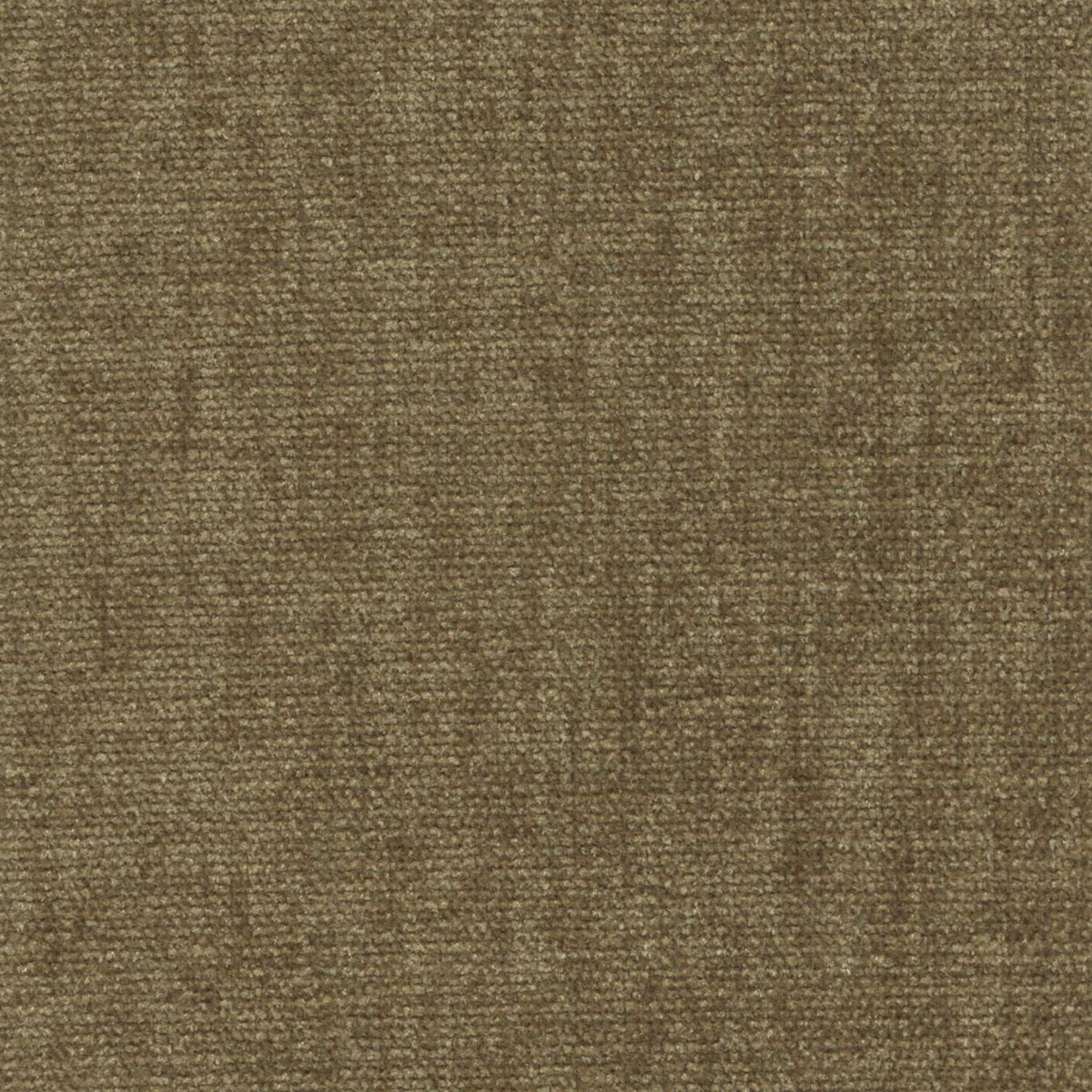 42005 OLIVE (CHARISMA/CRYPTON INCASE)