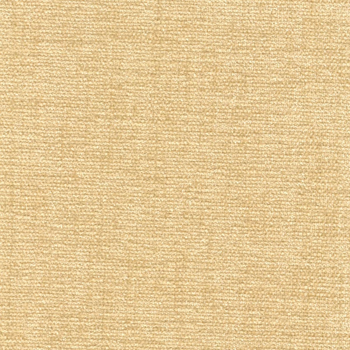 42019 CHAMOIS (CHARISMA/CRYPTON INCASE)