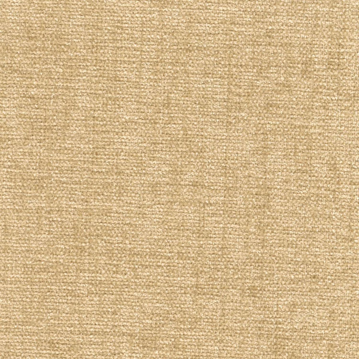 45415 TWEED (CHARISMA)