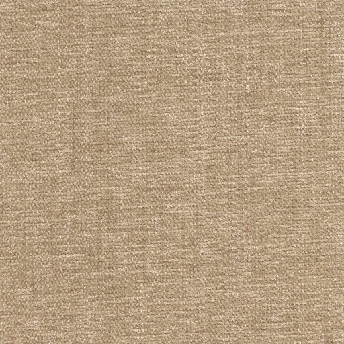 42000 BEIGE (CHARISMA/CRYPTON INCASE)