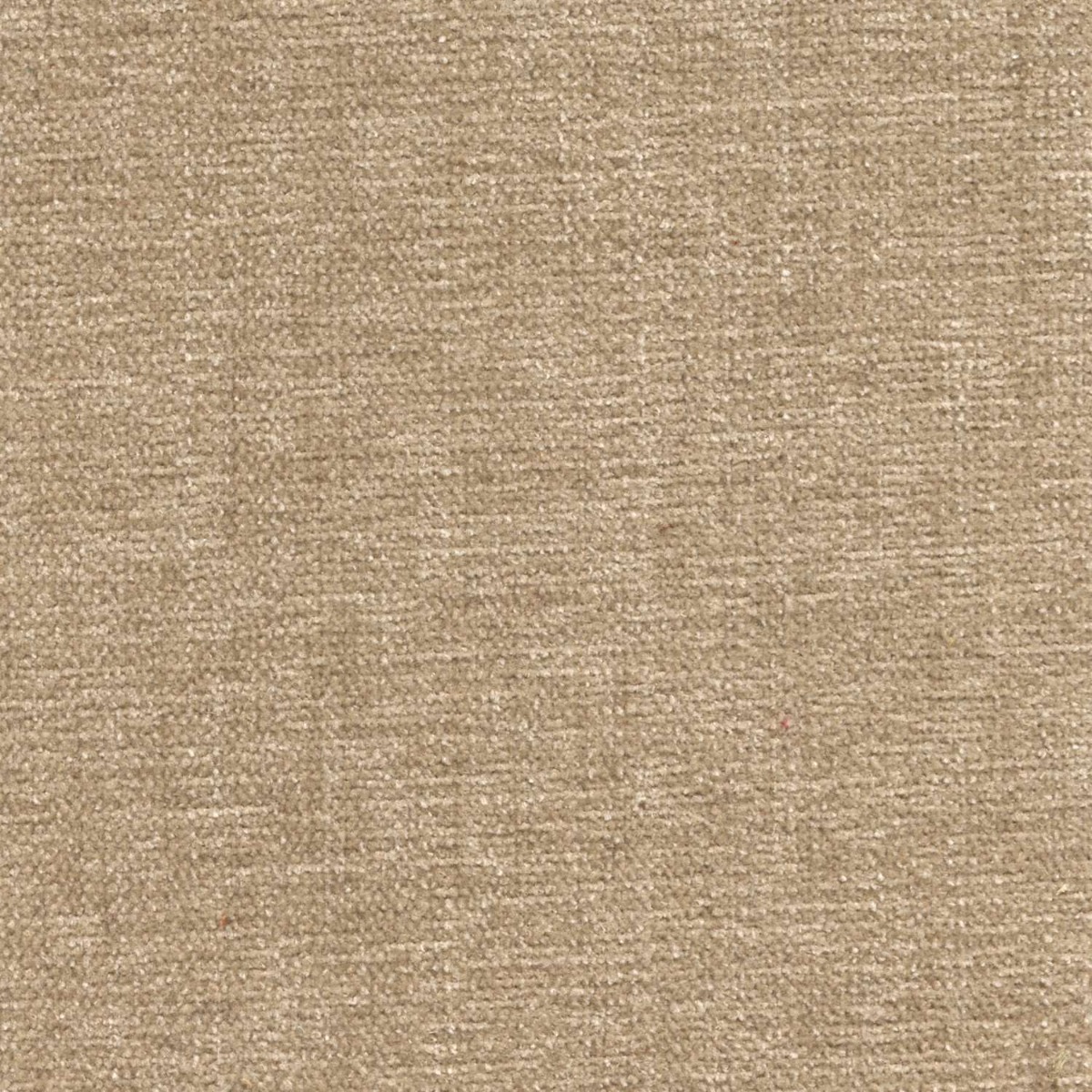 42050 BEIGE (CHARISMA)