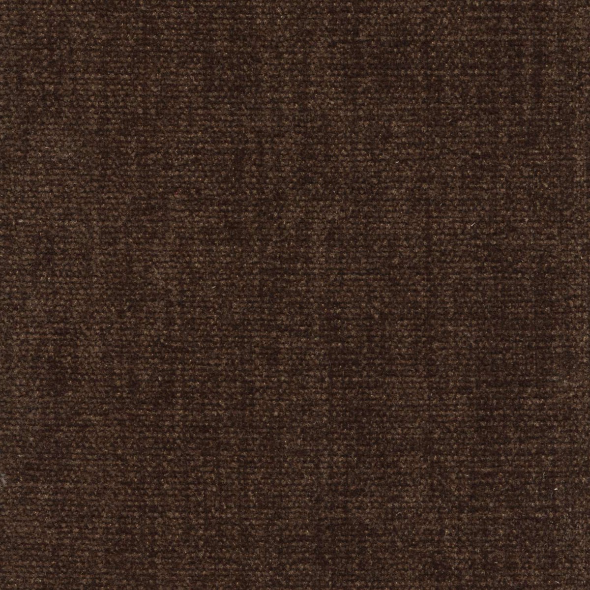 42001 CHOCOLATE (CHARISMA/CRYPTON INCASE)