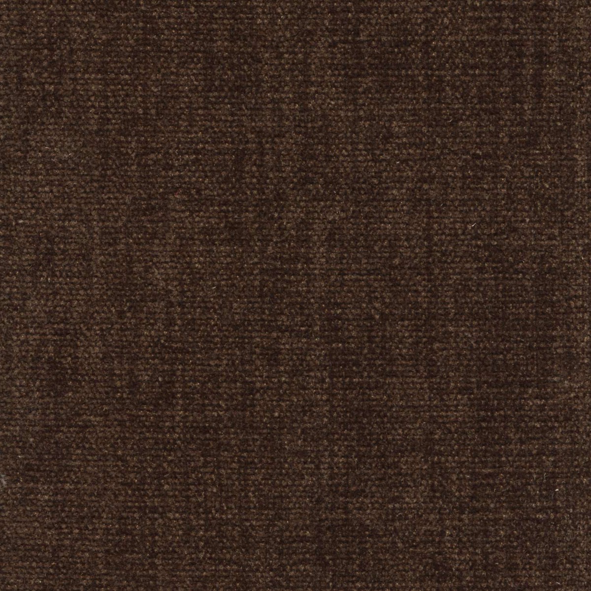 42051 CHOCOLATE (CHARISMA)