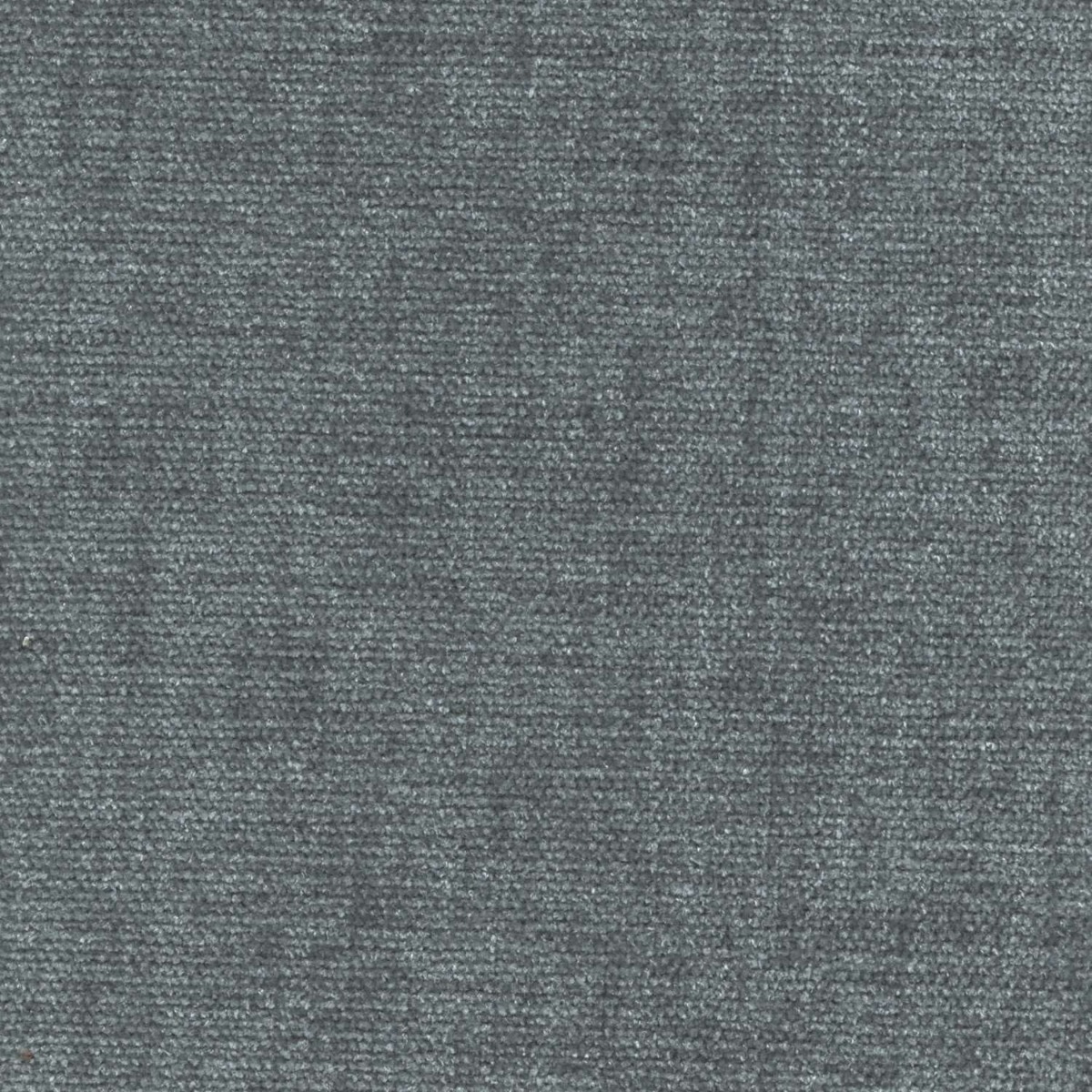 45426 GREY (CHARISMA)