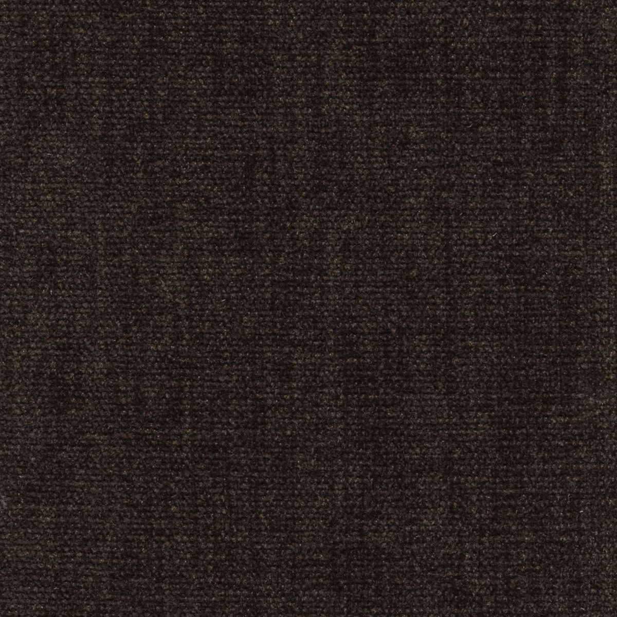 45427 ESPRESSO (CHARISMA)