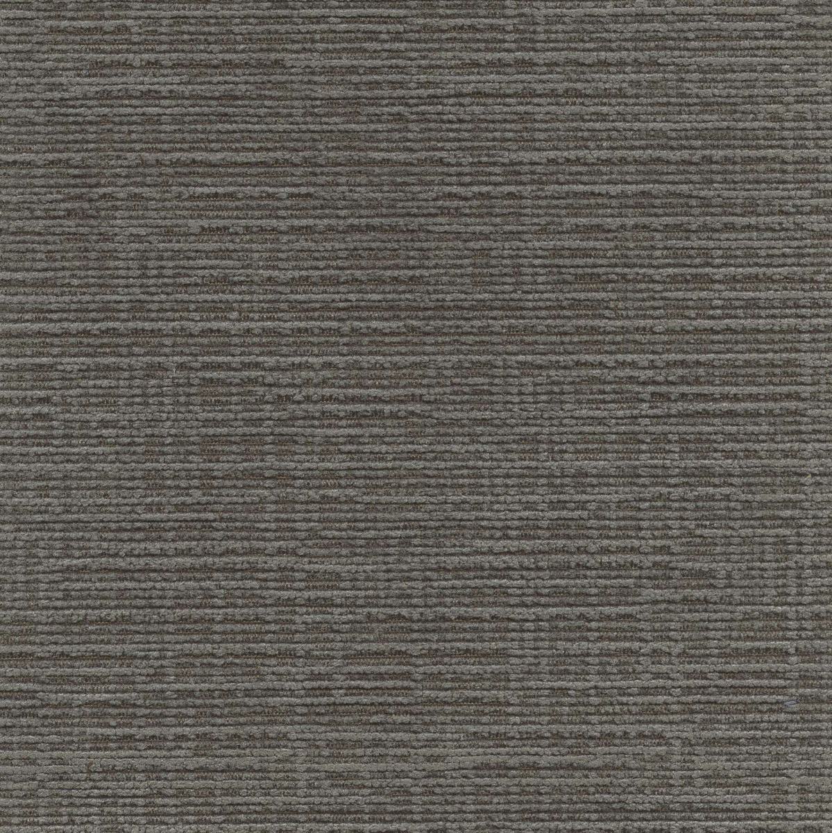 45502 MOCHA (DUBLIN)