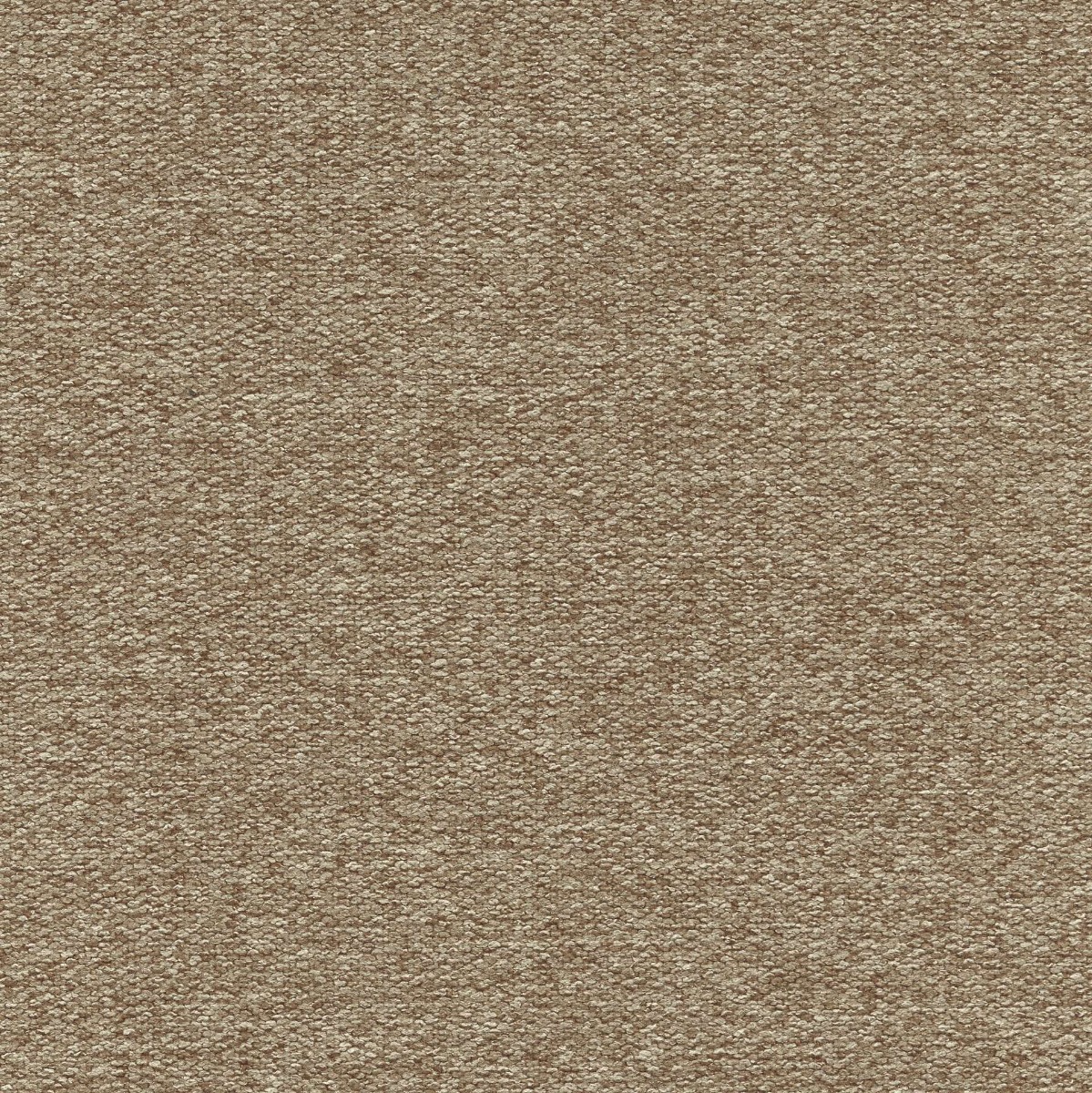 45508 TAUPE (WOOLLY)