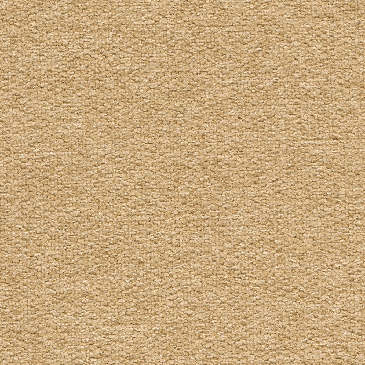 45510 CAMEL (WOOLLY)