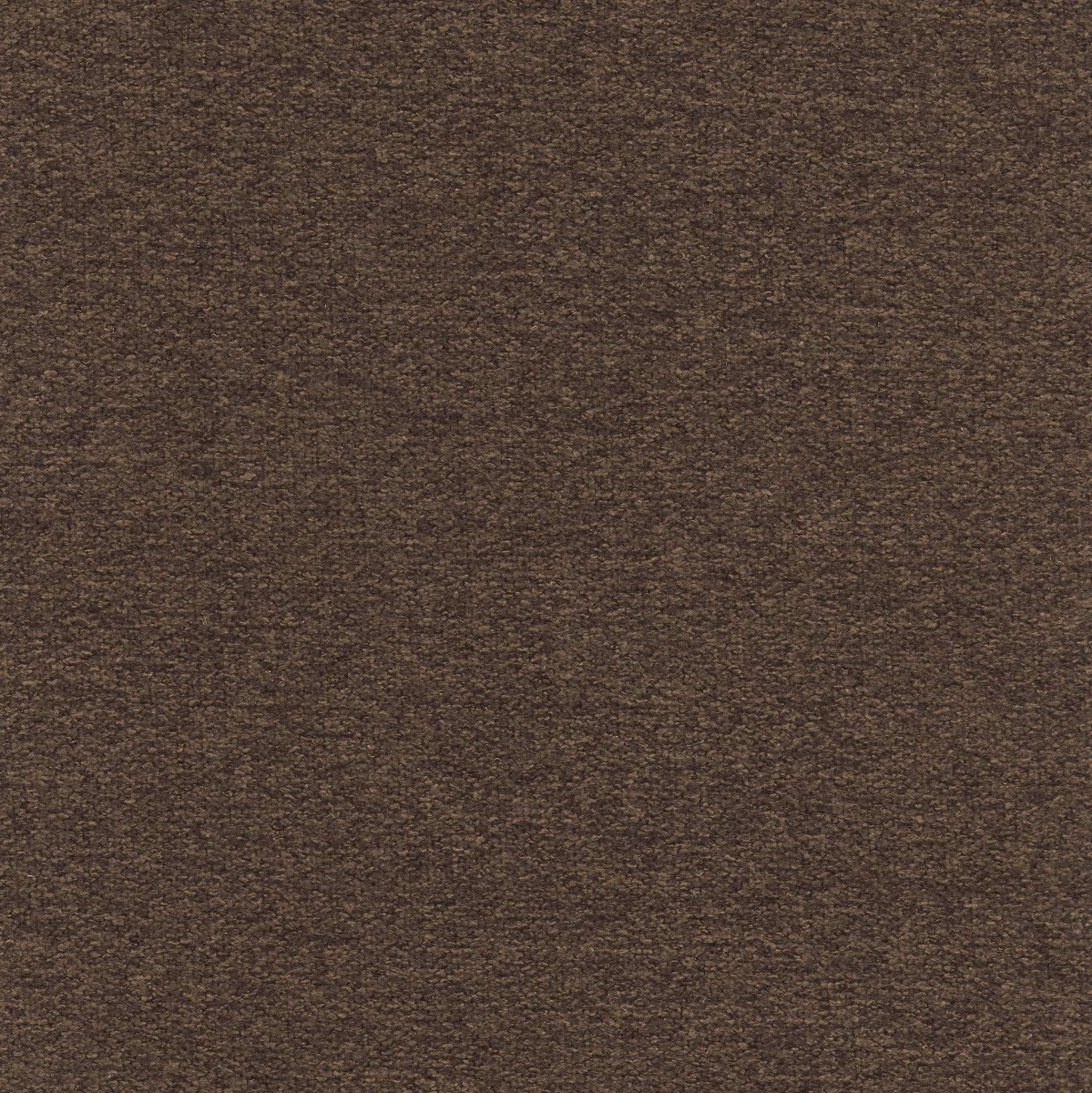 45519 TEAK (WOOLLY)