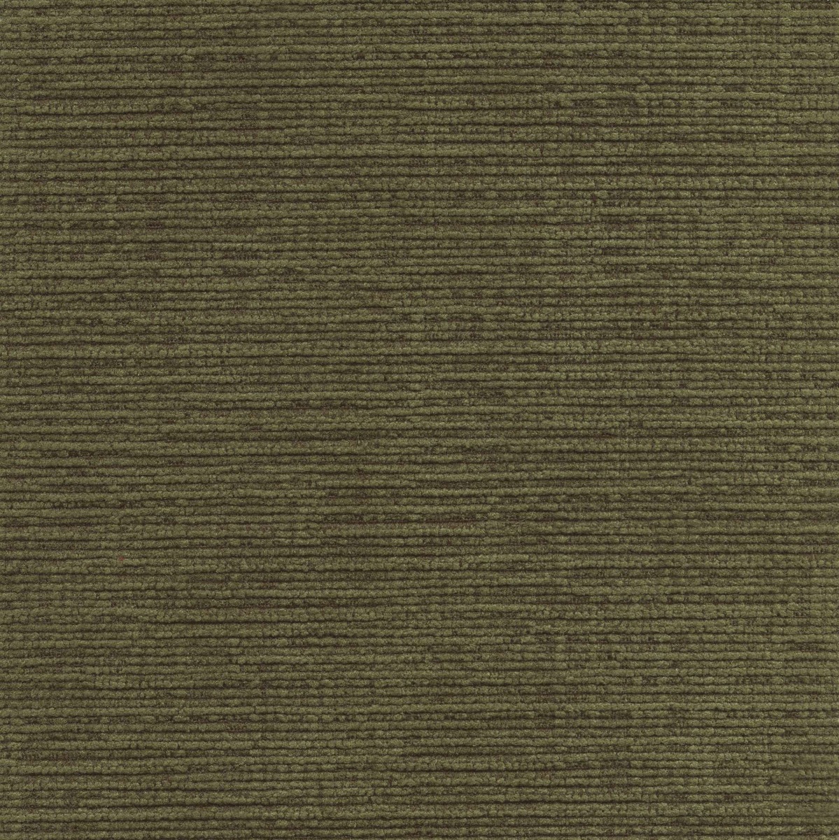45525 OLIVE (DUBLIN)